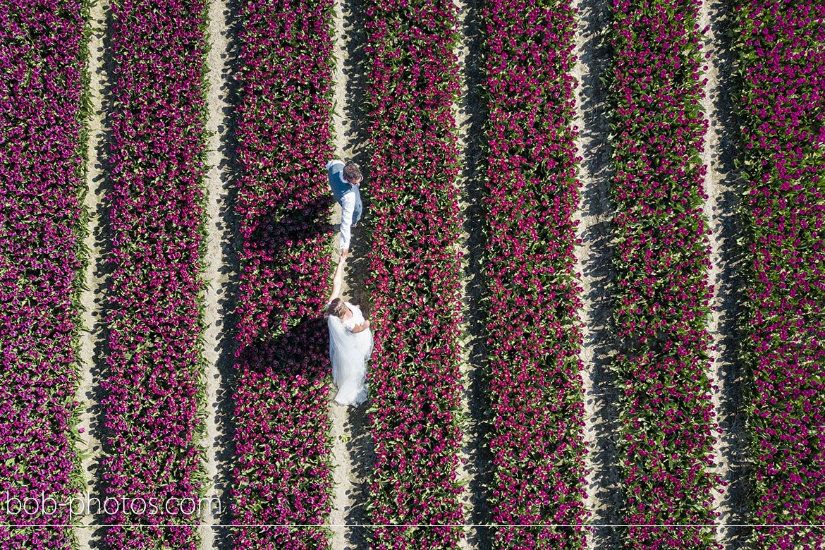 drone tulpenvelden Bruidsfotografie Tholen