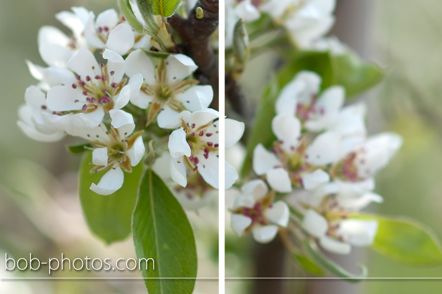 bruidsfotografie stavenisse corne en judith 014