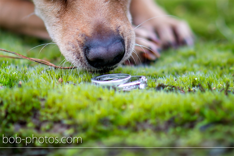 loveshoot Bergen op Zoom pieter en anita 009