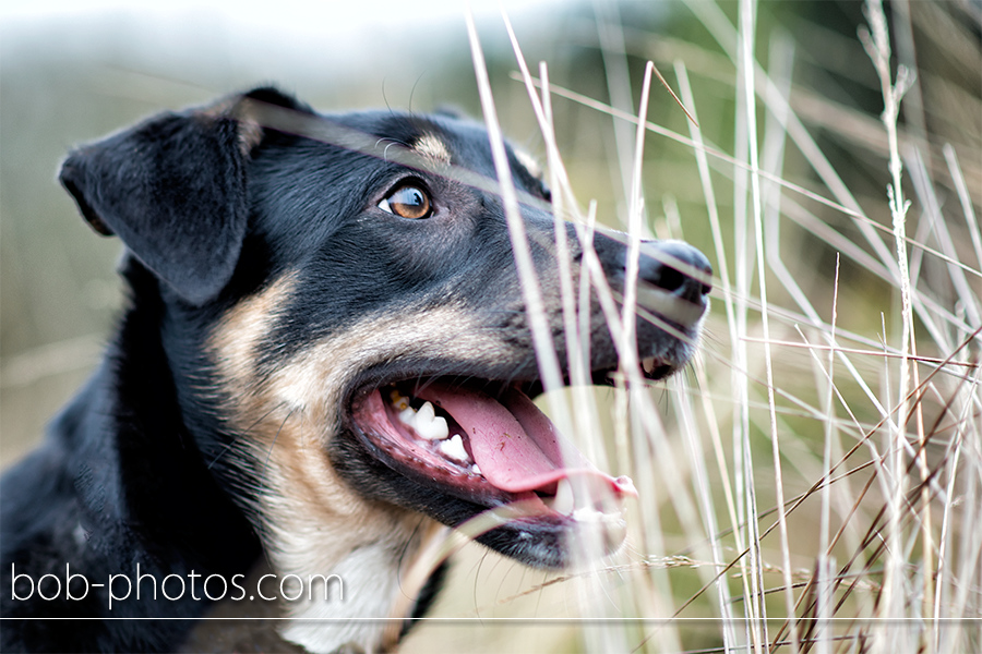 loveshoot Bergen op Zoom pieter en anita 014