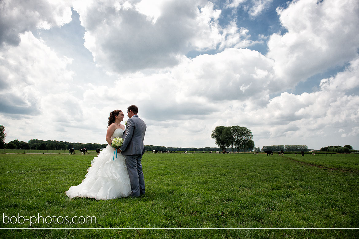 koeien Bruidsfotografie Hulst Wim & Natascha 13