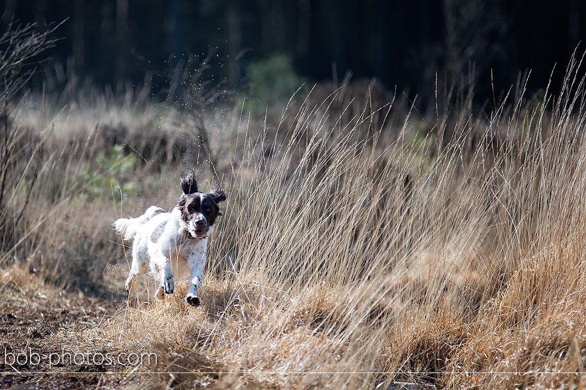 Heidewachtel Loveshoot-Klamthout-Jean-Pierre-&-Wendy11