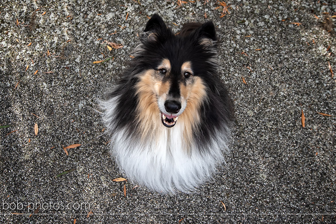 Bruidsfotografie Oud Gastel