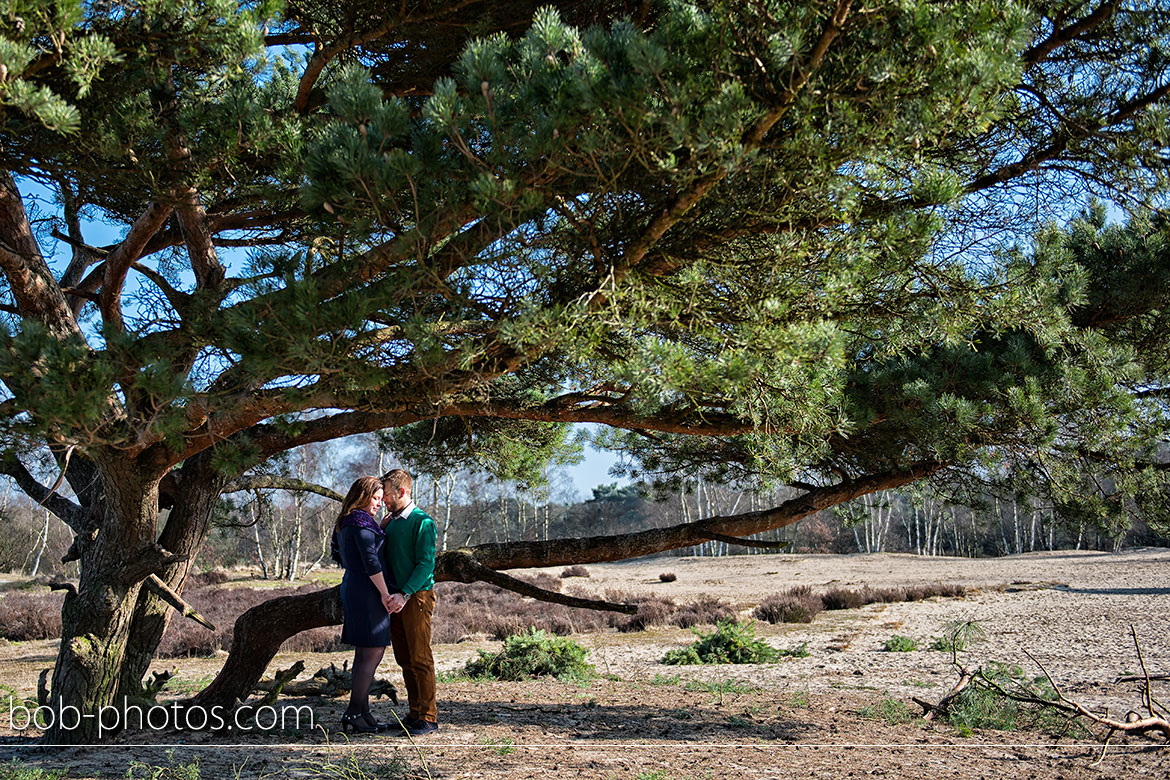 Loveshoot Kalmhoutse heide