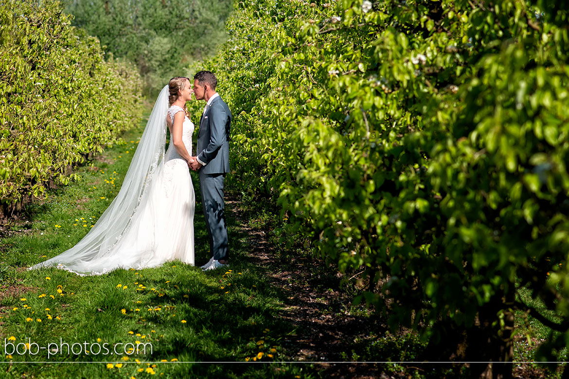 Boomgaard Bruidsfotografie Tholen