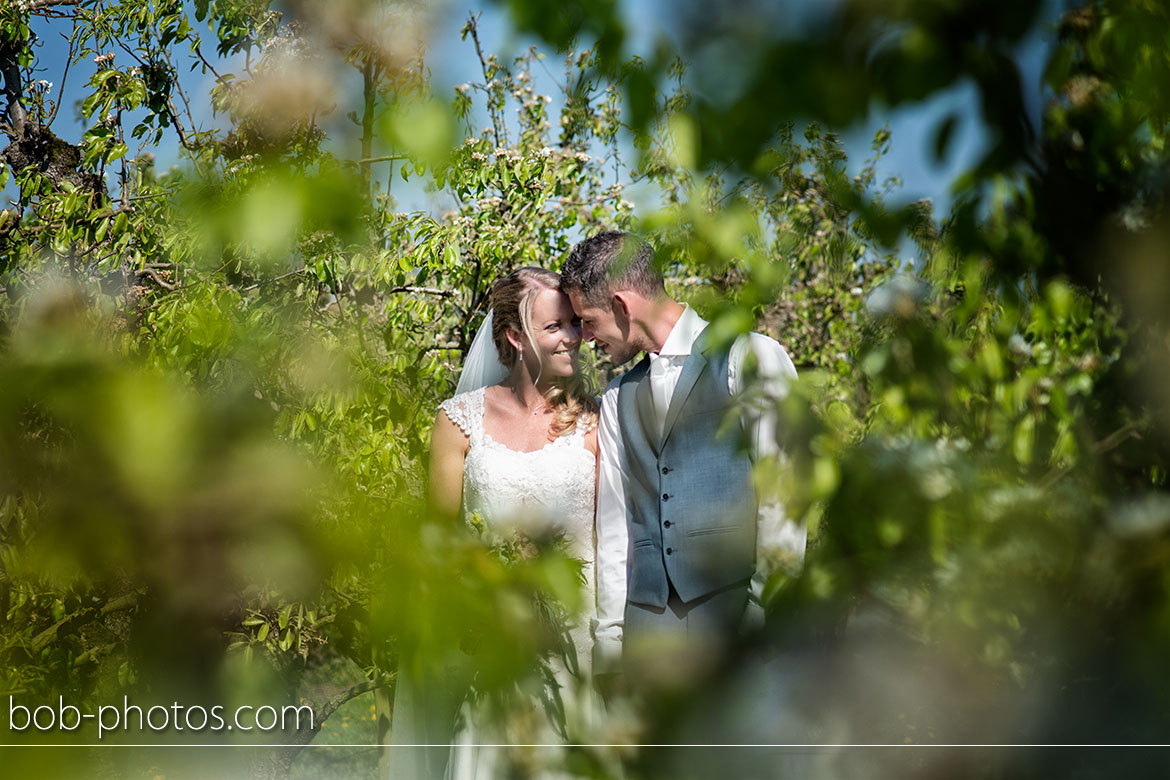 Boomgaard Bruidsfotografie Tholen