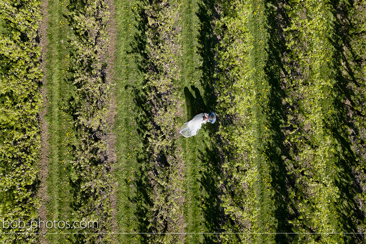 Boomgaard Bruidsfotografie Tholen