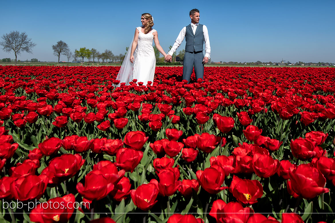 tulpenvelden Bruidsfotografie Tholen