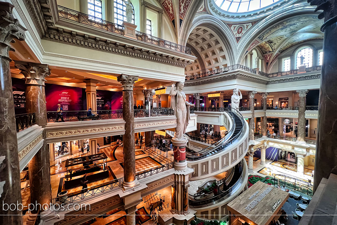 WPPI 2025