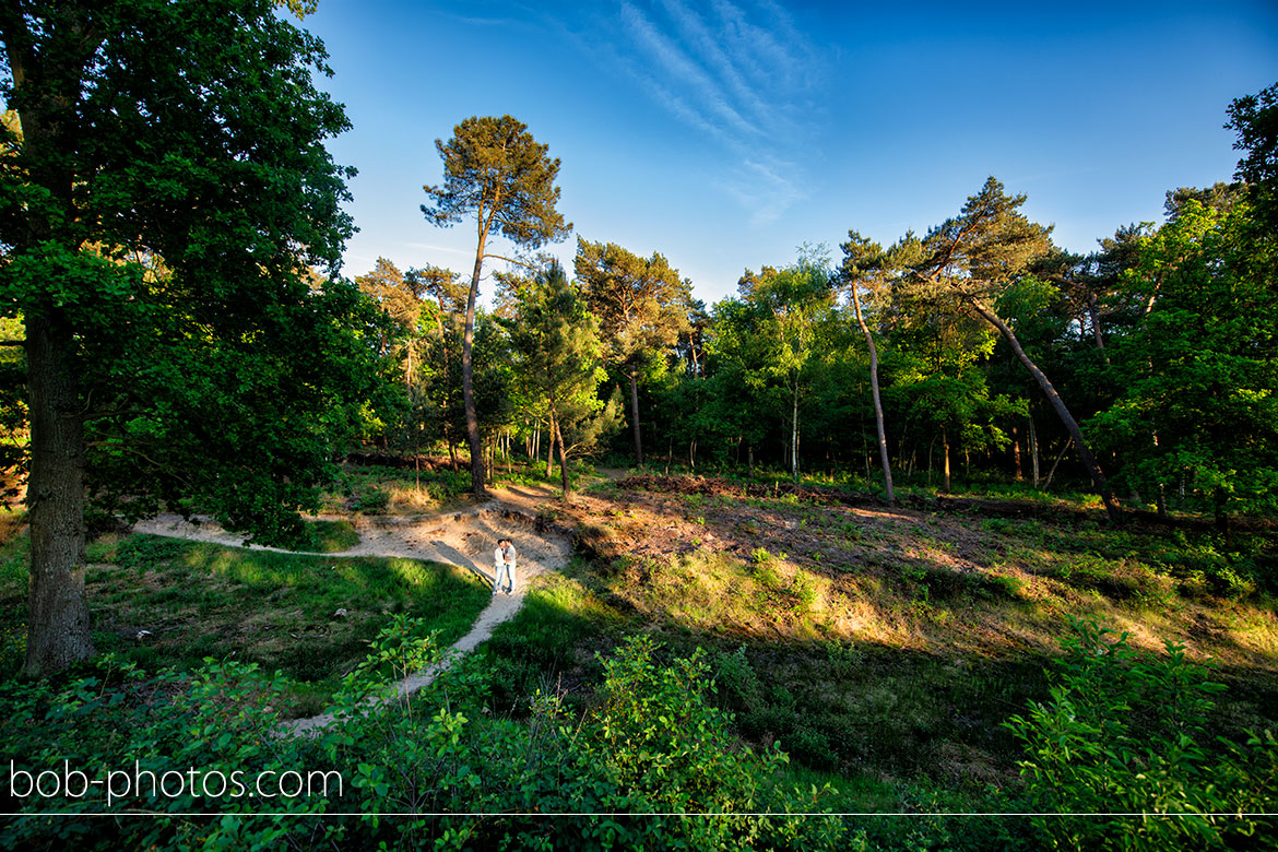 De Brabantse Wal